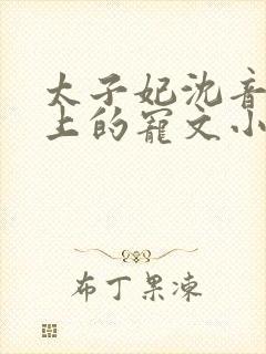 太子妃沈音和皇上的宠文小说