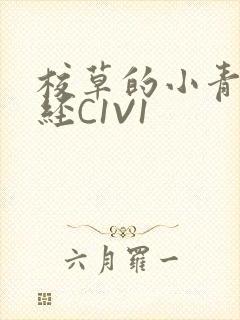 校草的小青梅不经C1V1