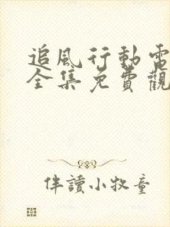 追风行动电视剧全集免费观看