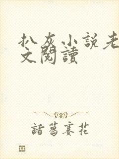 扒灰小说老马全文阅读