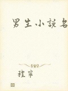 男生小说名字
