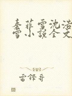 秦菲雪沈浩秦菲雪小说全文免费阅读求书