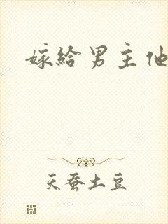 嫁给男主他爹