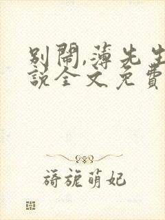 别闹,薄先生小说全文免费阅读