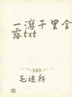 一泻千里金银花露txt