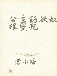 公主的欲奴h四根双龙