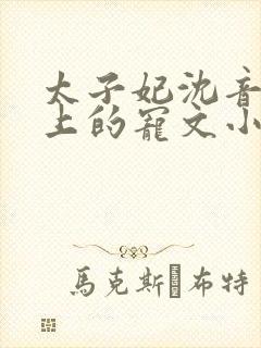 太子妃沈音和皇上的宠文小说