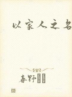 以家人之名小说