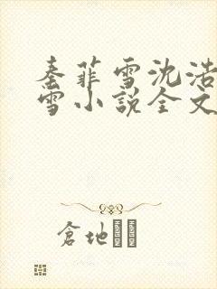 秦菲雪沈浩秦菲雪小说全文免费阅读求书