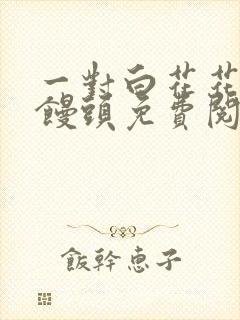 一对白花花的大馒头免费阅读