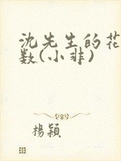 沈先生的花式调数(小非)