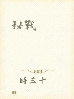 秘战