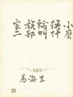 家族轮换小说第二部叫什么名字