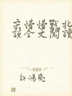 宋惜惜战北望小说全文阅读