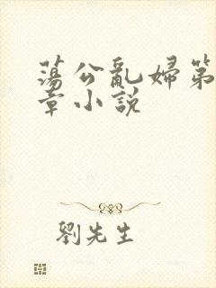 荡公乱妇第51章小说