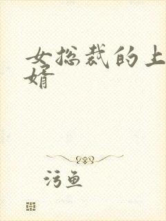 女总裁的上门女婿