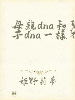 母亲dna和儿子dna一样不