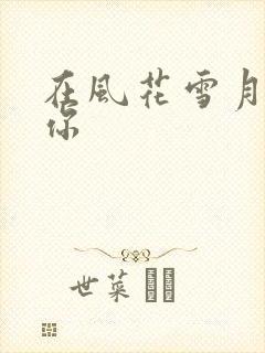 在风花雪月里等你
