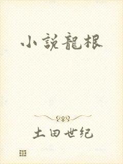 小说龙根