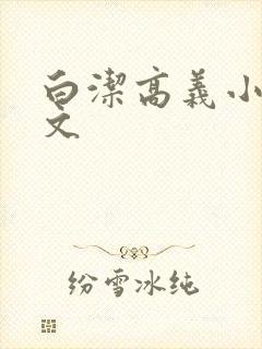 白洁高义小说全文