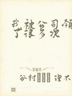 我被公司领导C了很多次