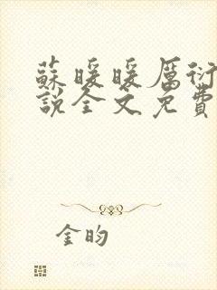 苏暖暖厉衍琛小说全文免费阅读