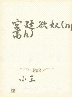 宫廷欲奴(np高h)