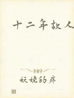 十二年故人戏