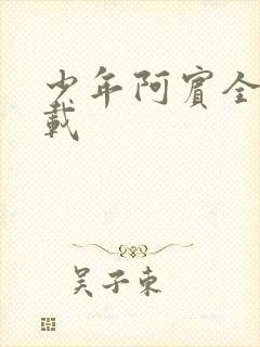 少年阿宾全集下载