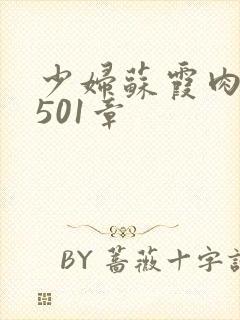 少妇苏霞肉欲第501章