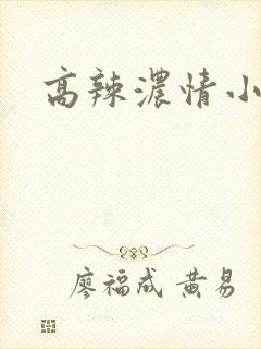 高辣浓情小说