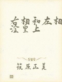 右相和左相一起淦皇上