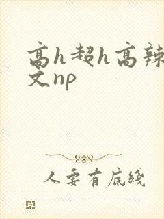 高h超h高辣h文np