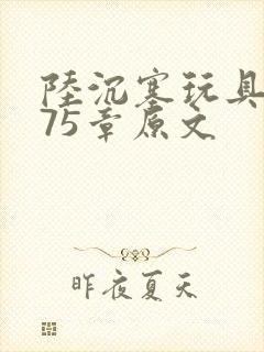 陆沉塞玩具高速75章原文