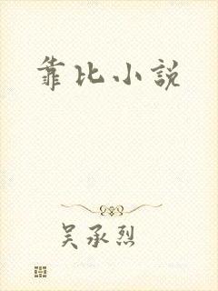 靠比小说