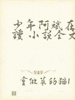 少年阿斌在线阅读 小说全文免费
