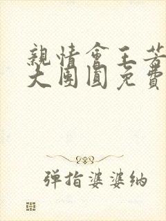 亲情会王芳高敏大团圆免费阅读