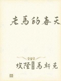 老马的春天敏静