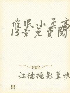 催眠小柔高达第13章免费阅读