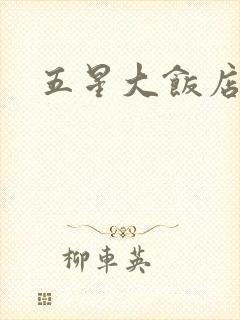 五星大饭店小说