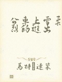 公车上雪柔被猛烈的进出