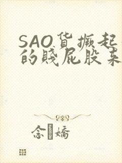 SAO货撅起你的贱屁股来