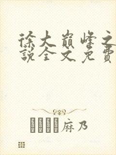 徐大巅峰之路小说全文免费阅读