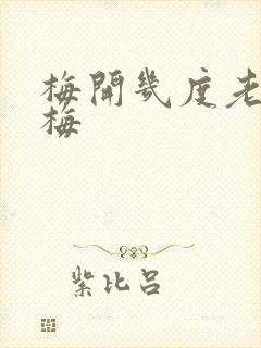 梅开几度老周张梅