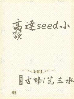 高达seed小说