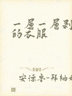 一层一层剥开你的衣服