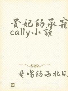 贵妃的承宠日常cally小说