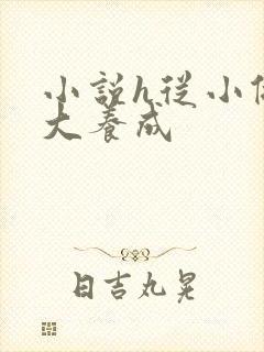 小说h从小做到大养成