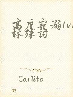 高度宠溺1v1林殊词