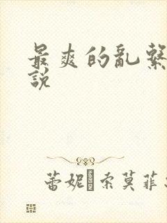 最爽的乱系列小说